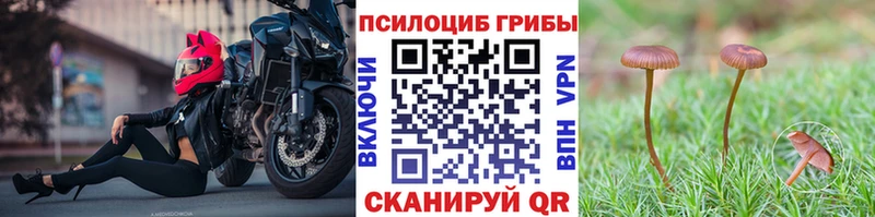 Галлюциногенные грибы Psilocybe закладки Каменка