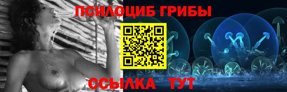 Каменка  Галлюциногенные грибы GOLDEN TEACHER  Псилоцибиновые грибы Psilocybe  Вход с VPN 